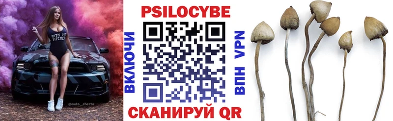 Псилоцибиновые грибы GOLDEN TEACHER  Белёв 